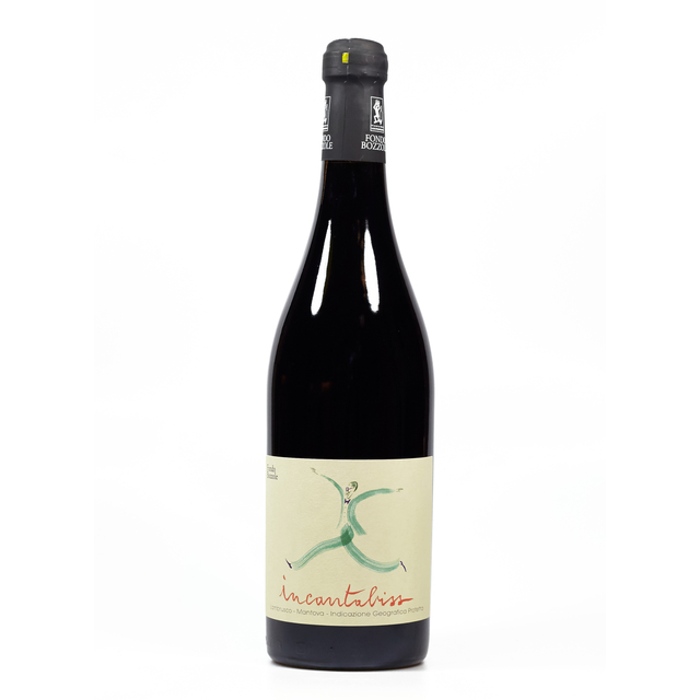 Lambrusco Mantovano DOP, trocken - Incantabiss, 100%...
