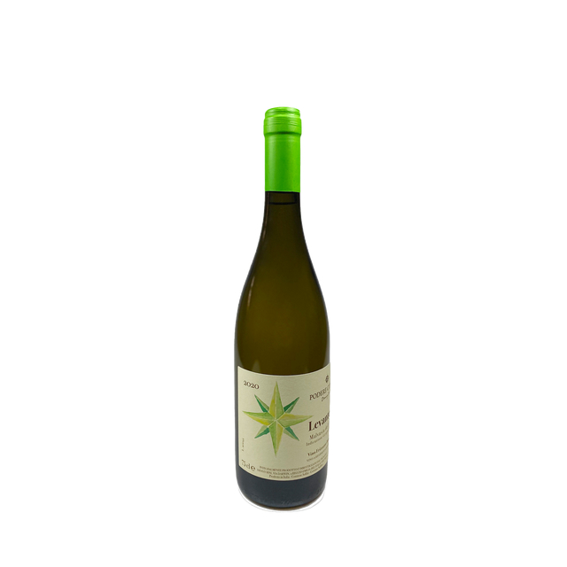 Malvasia frizzante trocken, Emilia IGP 2020 - Levante...